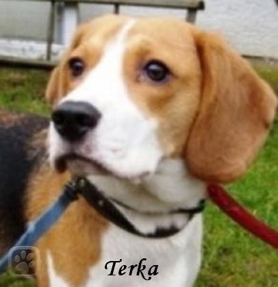 terinka.jpg