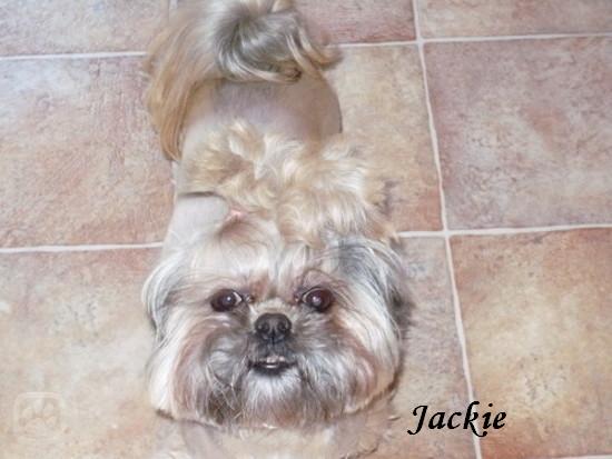 jackie.jpg