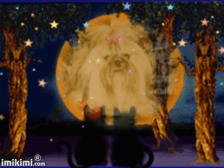 XRCR-11r-1.gif