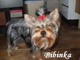 bibinka.jpg