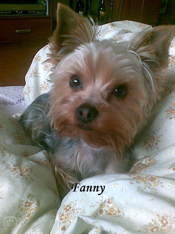 foto000-008_igallery_image0000001--600x--logo--server-haficicz